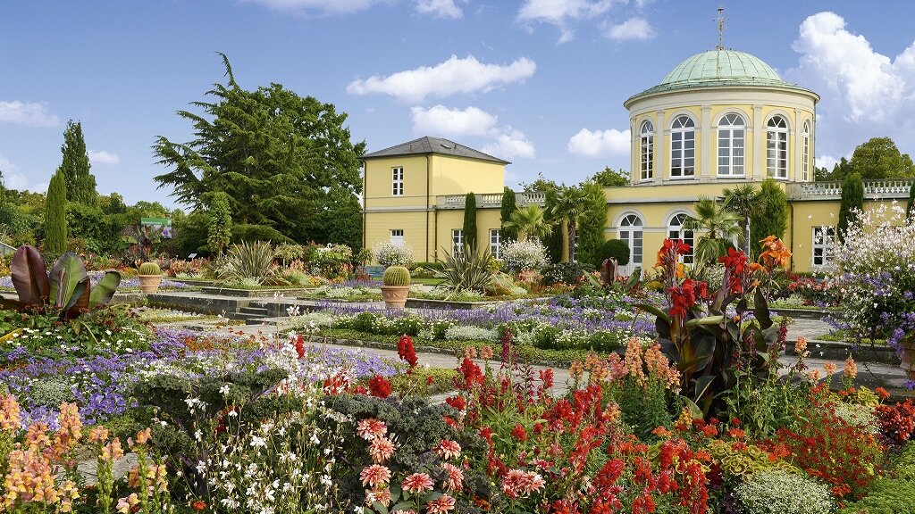 Der Berggarten in Hannover mit blühenden Blumen vor einem gelben Gebäude mit einer Kuppel unter blauem Himmel.